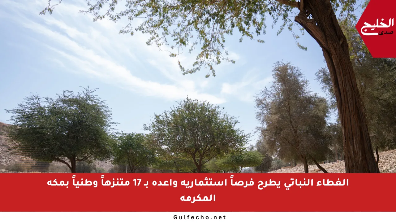 الغطاء النباتي يطرح فرصاً استثمارية واعدة بـ 17 متنزهاً وطنياً بمكة المكرمة